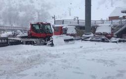 تساقط الثلوج في منتزه جبل الشيخ 