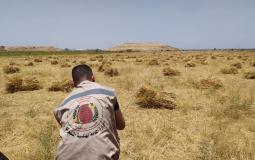 هندسة المتفجرات في شرطة غزة 