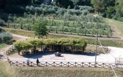 شاهد: طلاب إيطاليا يؤدون اختباراتهم تحت الأشجار