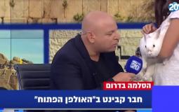 أرانب في مقابلة على تلفزيون إسرائيلي بسبب غزة