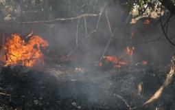 حريق في غلاف غزة بفعل بالونات حارقة 