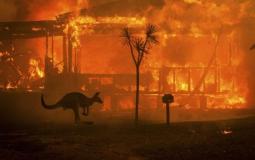 حرائق استراليا - توضيحية 