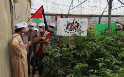 العمل الزراعي وحركة طريق الفلاحين الفلسطينية ينفذان زيارة تضامنية لمزارعي الدفيئات الزراعية برفح