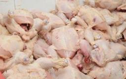 ضبط محل لبيع دواجن فاسدة بالوسطى