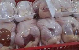 اسعار الدجاج في قطاع غزة اليوم
