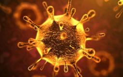 إجابات عن أبرز التساؤلات حول فيروس كورونا المستجد