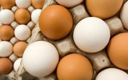 شاهد: سيدة تقلي بيضة من دون موقد
