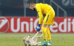 بالفيديو: صداقة بين حارس مرمى وكلب اقتحم أرض الملعب