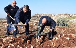 الشرطة تشارك بزراعة أشتال الزيتون