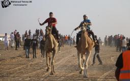 سباق الهجن الأول في غزة
