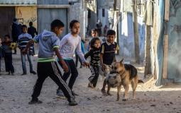 الكلبة &#039;سينا&#039; تلعب الكرة مع أطفال غزة