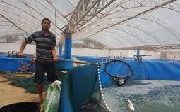 مزارع السمك في غزة - أرشيفية -