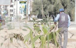 بلدية غزة تزرع 1600 شتلة خلال أكتوبر الماضي