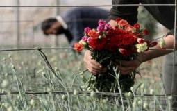 سوق الورود يتراجع بسبب الأوضاع الاقتصادية الصعبة