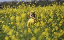 طفلة فلسطينية بين الزهور