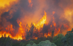 حرائق كاليفورنيا 