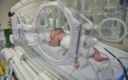 مولود جديد في غزة 