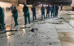 محاولة السيطرة على اعداد من صرصور الليل في مكة 