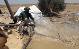 العمل الزراعي يعيد الحياة ل 1000 دونم زراعي في شرق وشمال قطاع غزة