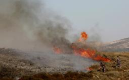 مستوطنون يحرقون 30 دونما من المحاصيل الزراعية في مسافر يطا