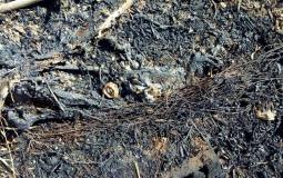 حرائق تلتهم دونمات زراعية في غلاف غزة 