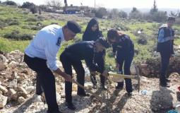 فعاليات يوم الشجرة