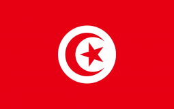 الدولة التونسية