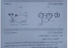 مصر: حقيقة تسريب إجابات امتحان الأحياء للصف الأول ثانوي