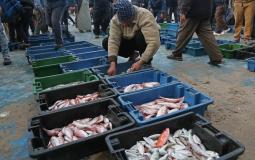  اسعار الاسماك في اسواق غزة