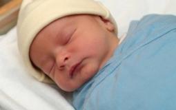 مولود في غزة - توضيحية