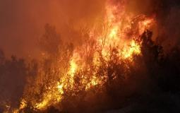  حريق ضخم اندلع في محمية عينوت تسوكيم بالقرب من البحر الميت والتهم أدى لاحتراق 500 دونم