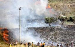 مستوطنون يضرمون النار في الحقول الزراعية شرق طولكرم - ارشيفية