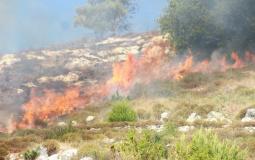 مستوطنون يضرمون النار في أراض المواطنين بنابلس
