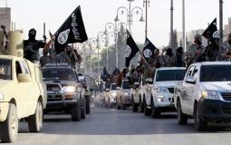 تنظيم الدولة  "داعش"  - أرشيفية 