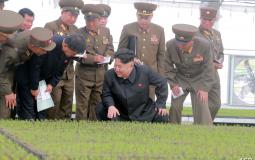 صحيفة: حالة من الرعب تسود كوريا الشمالية بعد أنباء وفاة كيم جونغ أون