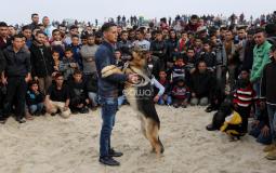 مربّو كلاب ينظمون عرضا بغزة