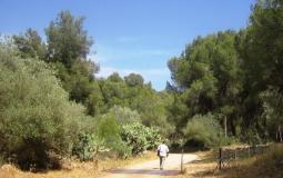 المحميات الطبيعية في الضفة الغربية 