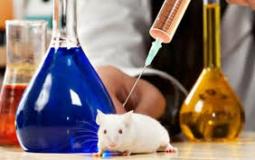 تجربة لقاح على الفئران.