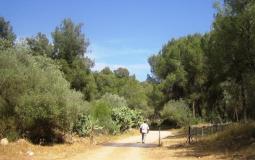 محميات فلسطين