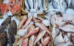 ضبط لصوص سرقوا 30 كيلو سمك في رفح