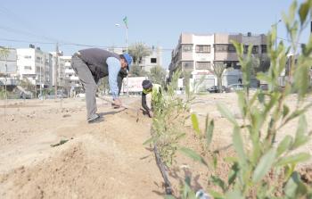 بلدية غزة تزرع 3700 شتلة خلال إبريل