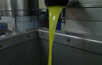 زيت الزيتون
