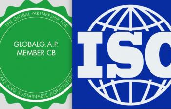 شهادات الآيزو والجلوبال جاب