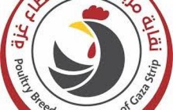 نقابة مربي الدواجن في غزة