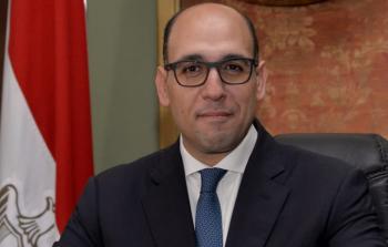 السفير أحمد حافظ