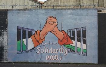 التضامن الايرلندي مع فلسطين