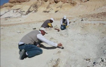 صورة لأحد موظفي هيئة المساحة الجيولوجية السعودية