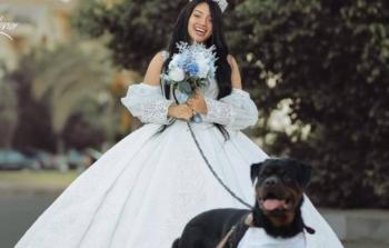 فتاة مصرية تتزوج من كلب وتثير ضجة كبيرة!