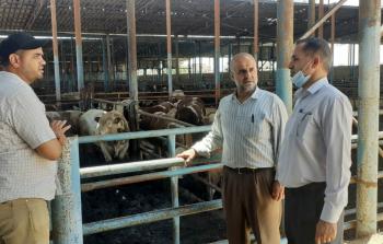 الزراعة تطلع على سير العمل في المذابح المؤقتة جنوب قطاع غزة