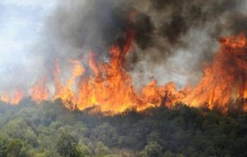 الحرائق غابات الجزائر